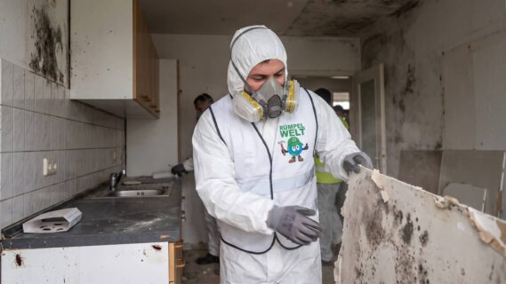 Entrümpelung bei Schimmel oder Schädlingsbefall